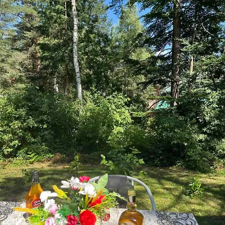 Kuca Jure Holiday home