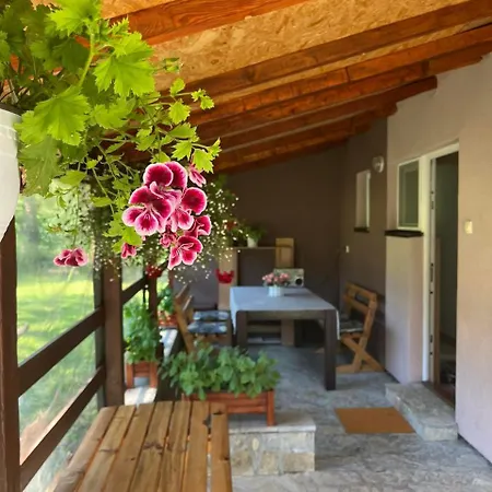 Holiday home Kuca Jure Divcibare