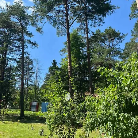 Kuca Jure Holiday home