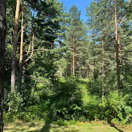 Kuca Jure Divčibare