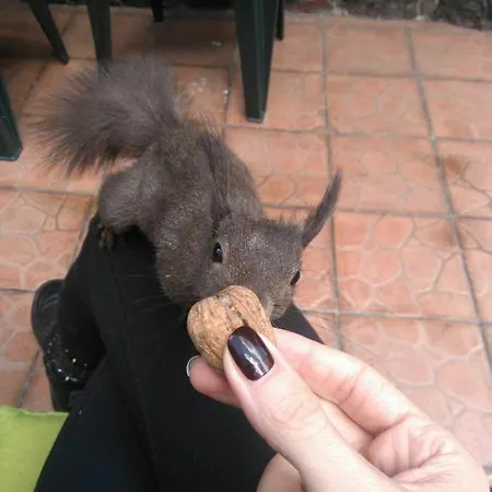 Tatil Evi Kuca Jure *