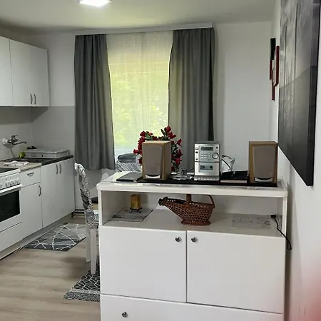 Holiday home Kuca Jure Divcibare