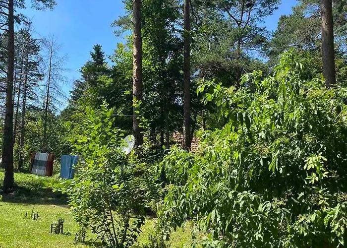 Kuca Jure * Divčibare